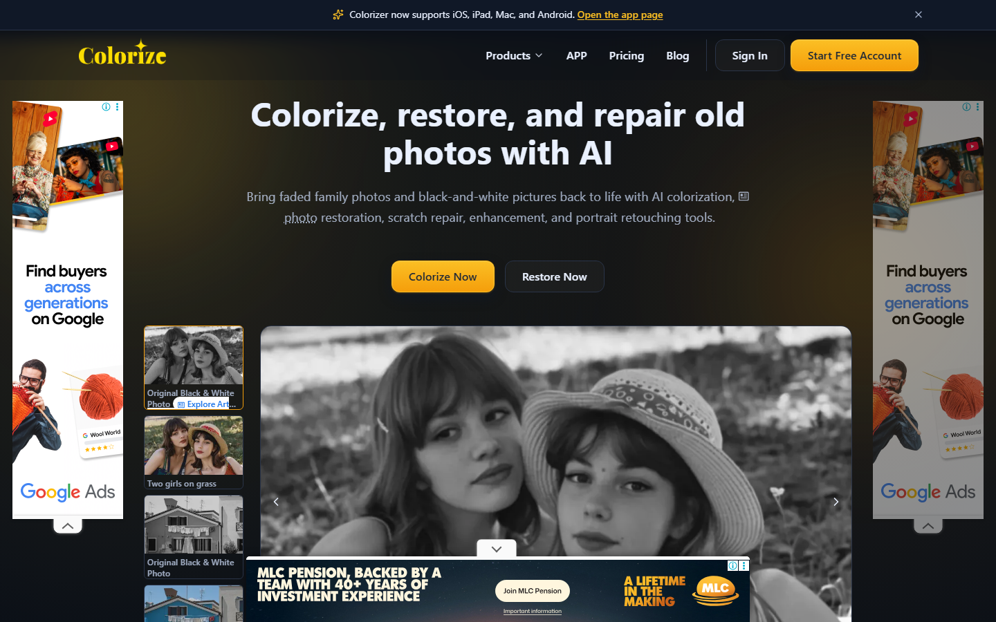 ImageColorizer
