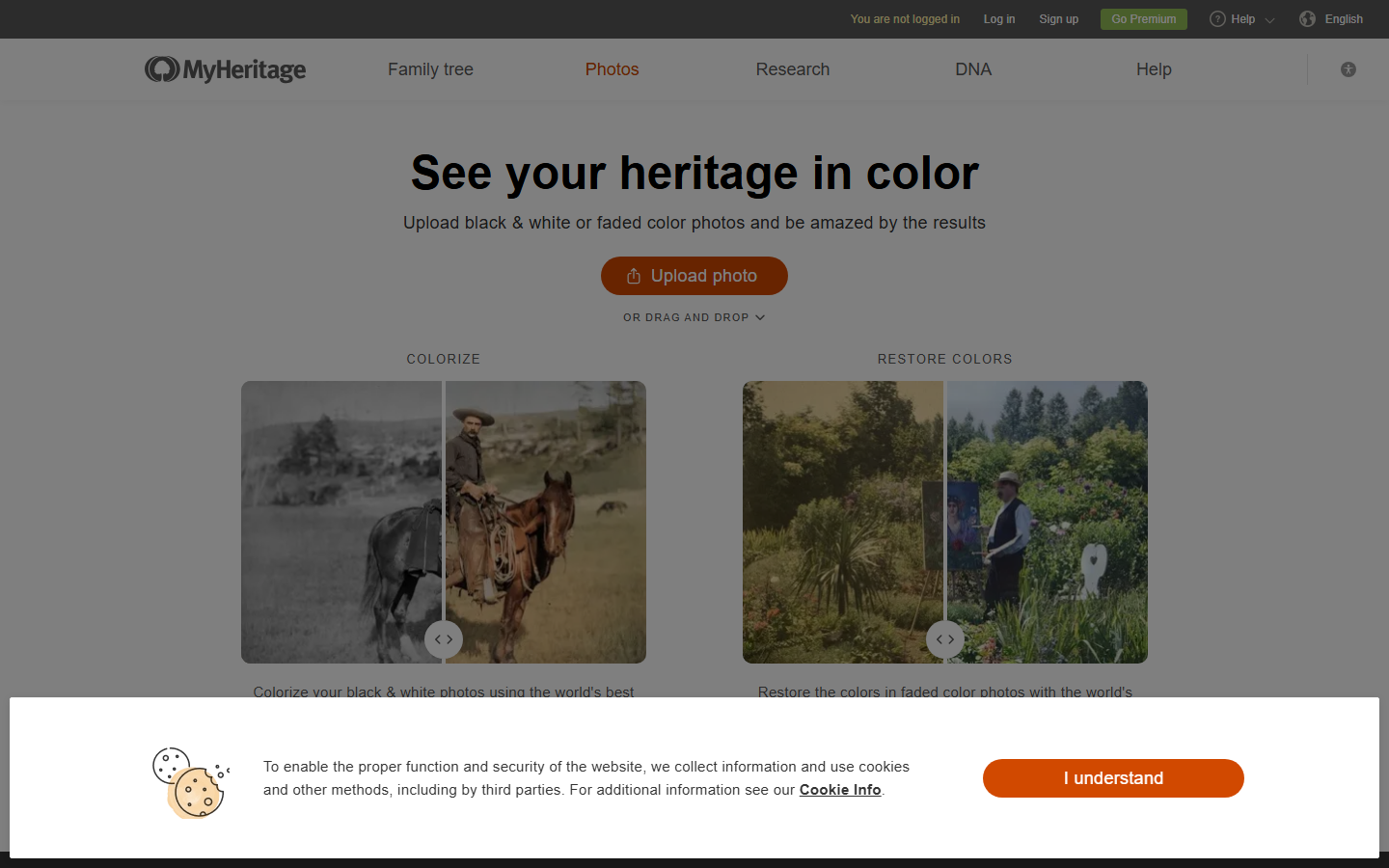 MyHeritage In Color
