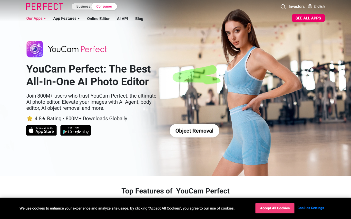 YouCam Perfect app page from Perfect Corp