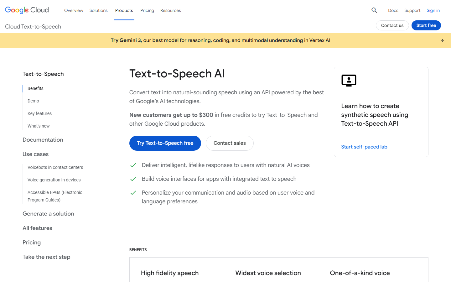 Google Cloud TTS homepage