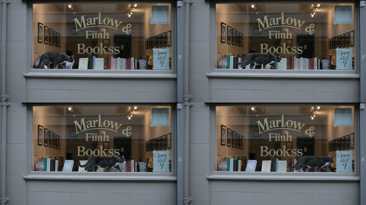 Prompt 6 frames: a bookshop window with gold lettering reading Marlow & Fiinh Bookss and a paper sign, as a grey cat walks along the ledge