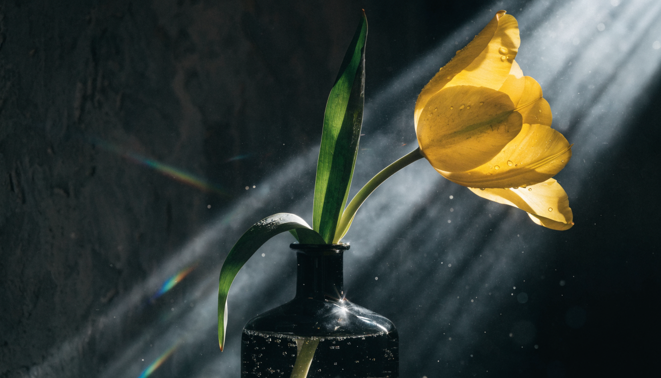 Cinematic photorealistic studio workspace composition with bold editorial lighting and sharp detail, representing professional ad creative production