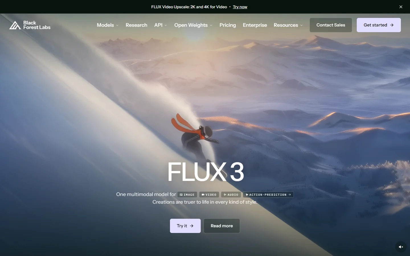 Screenshot of the Black Forest Labs site showing the FLUX model family and API entry point