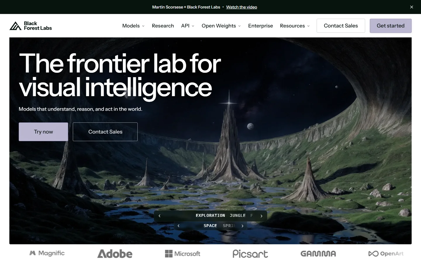 Black Forest Labs homepage