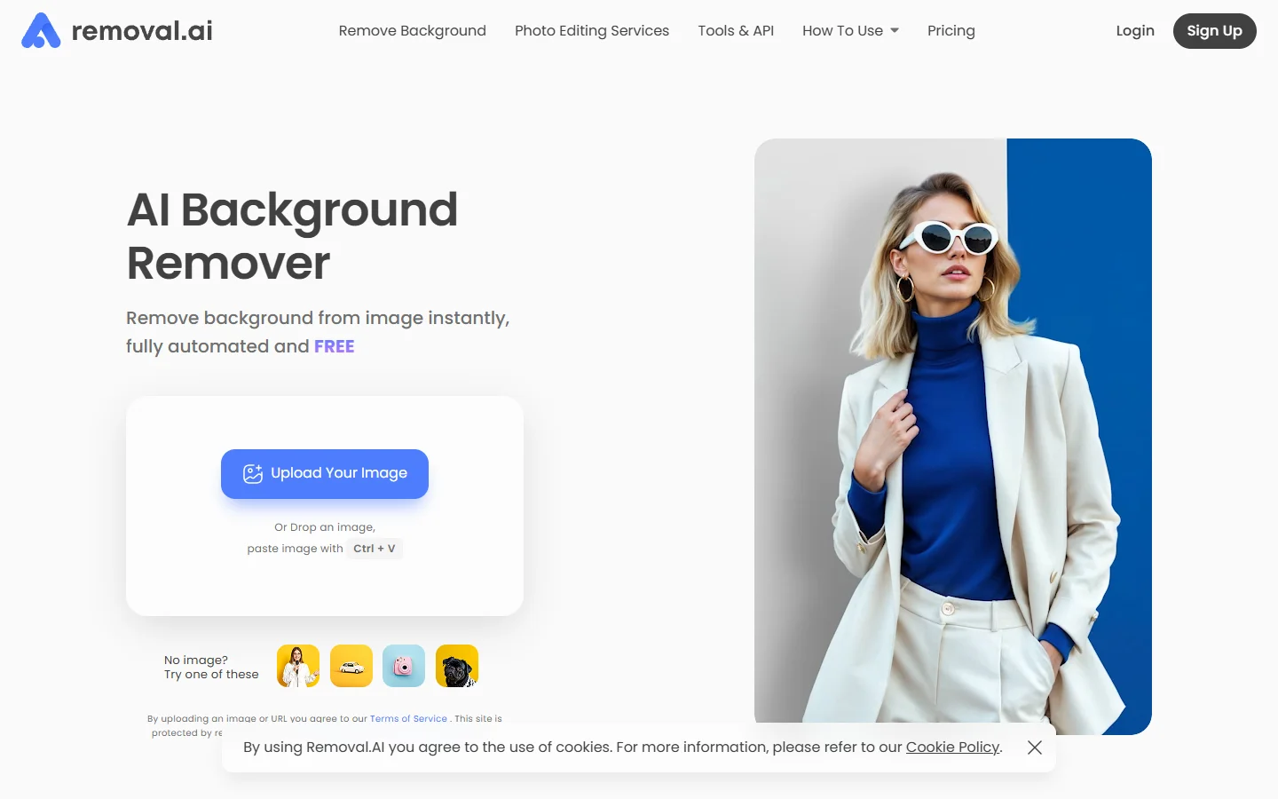 Removal.AI free background removal tool interface