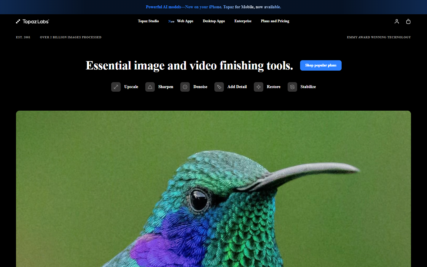 Topaz Labs homepage showing AI image upscaling and sharpening