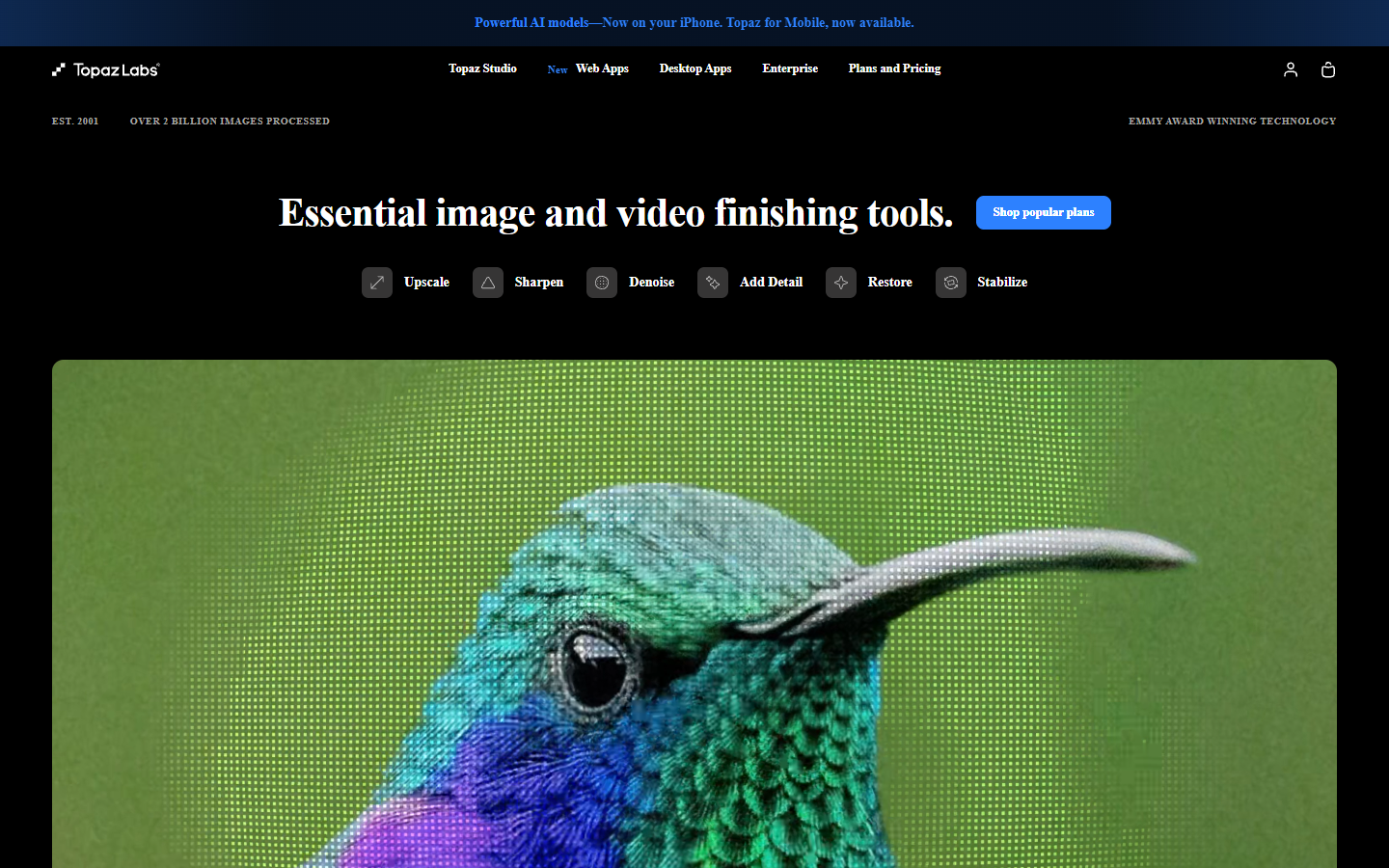 Topaz Labs homepage showing its upscale, sharpen, denoise, and stabilize tools